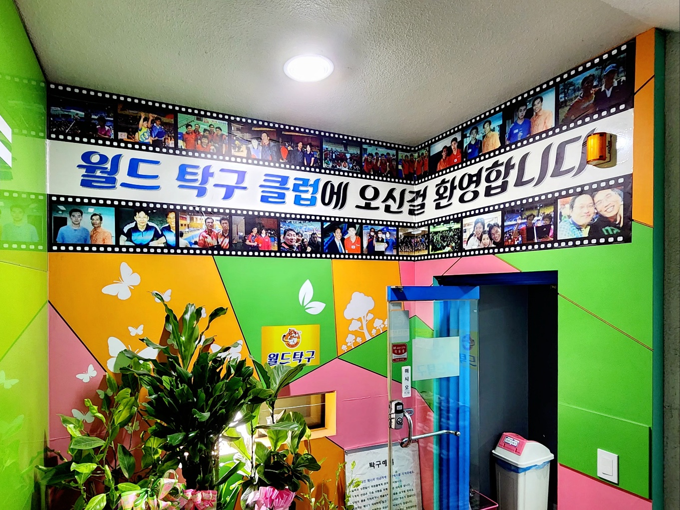 2000769928_Q3jLsu5Z_bac3dae4b15e2b5c54f6e7a3ee4cb05c6fdbe4be.jpg 이미지크게보기